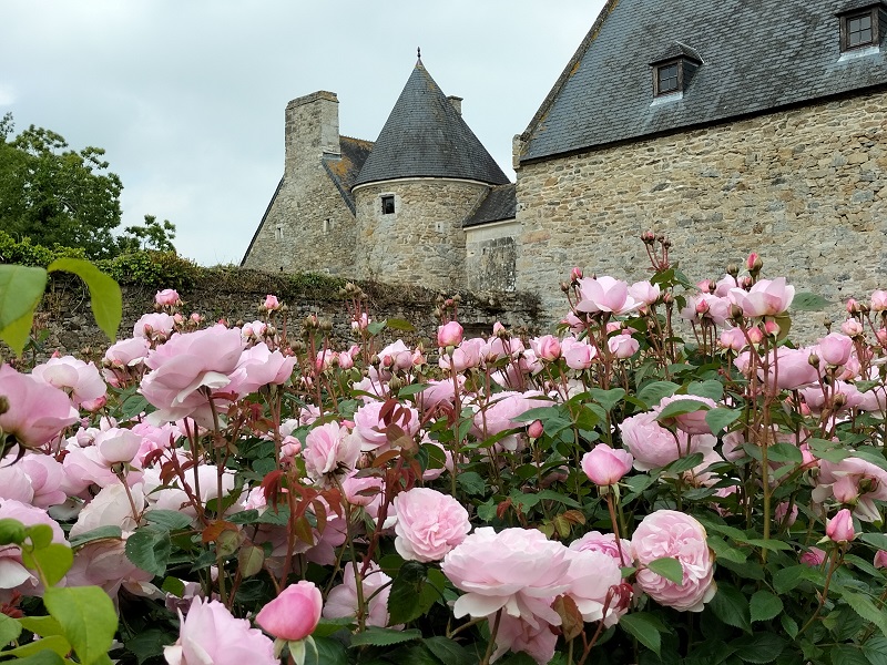 Saint-Lô : Rendez-vous aux Jardins > Château de Montfort