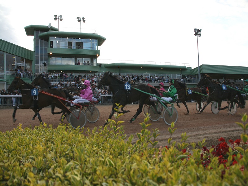 Saint-Lô : Courses hippiques