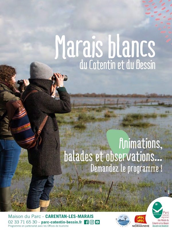 Saint-Lô : Sur les traces des cigognes au coeur du Marais