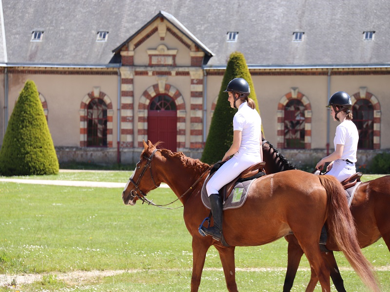 Saint-Lô : Balades à cheval été 2023 > Haras National Saint-Lô 