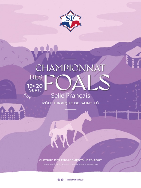 Saint-Lô : Championnat de Frances des foals