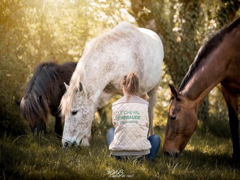 Saint-L&ocirc; : Vacances d'été au Cheval Emeraude
