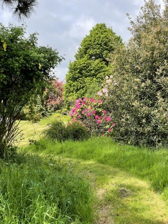 Saint-L&ocirc; : Bienvenue dans mon jardin au naturel