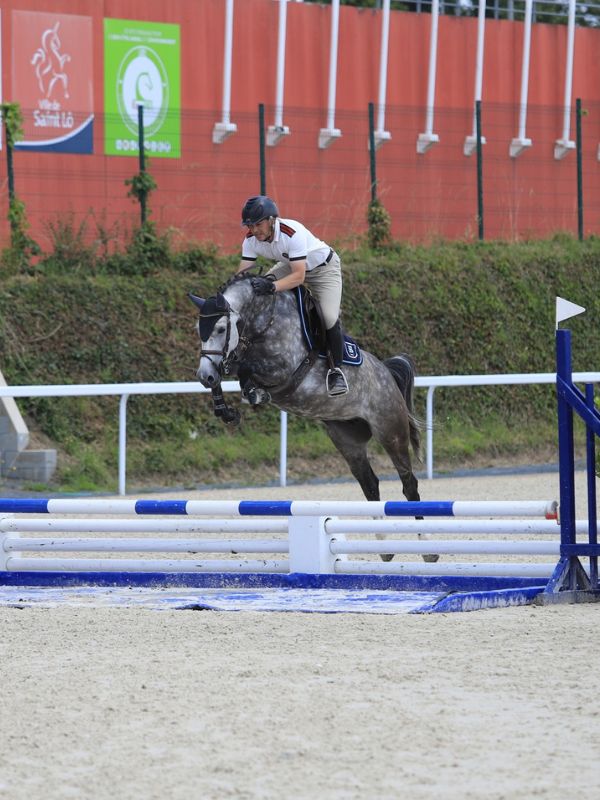 Concours cycle libre> Jeunes poneys et amateurs