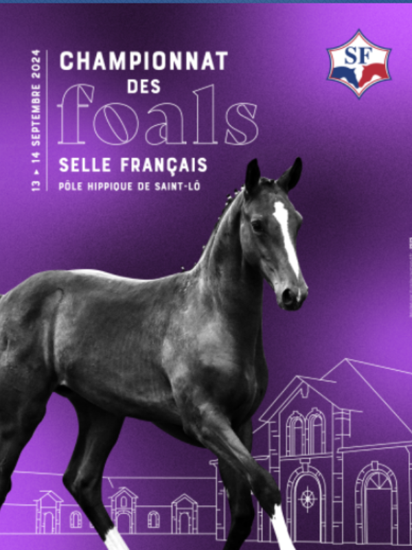 Saint-Lô : Concours équestre > Championnat de France des foals SF