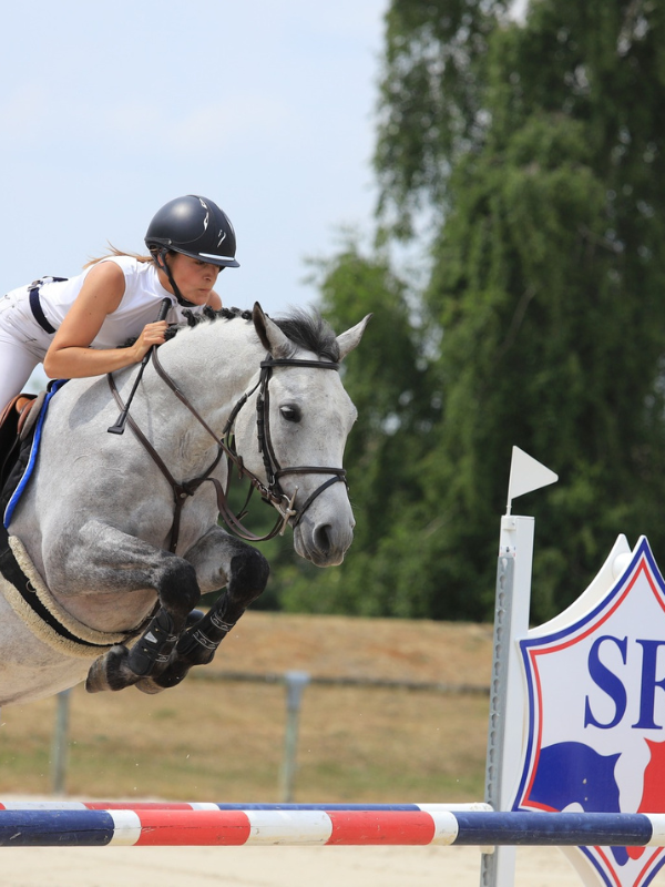 Saint-Lô : Concours de saut d'obstacles > PRO 1 - Amateur 