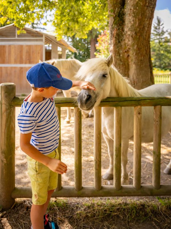 Saint-L&ocirc; : Balades à poney > Haras National