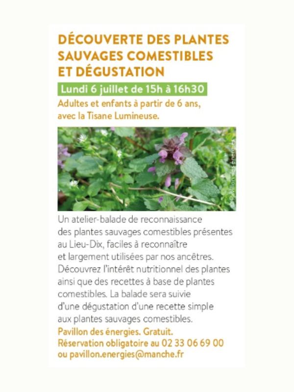 Saint-L&ocirc; : Découverte des plantes sauvages comestibles et dégustation