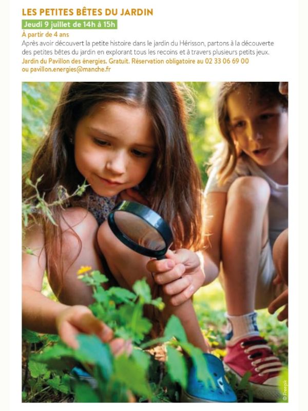 Saint-L&ocirc; : Les petites bêtes du jardin