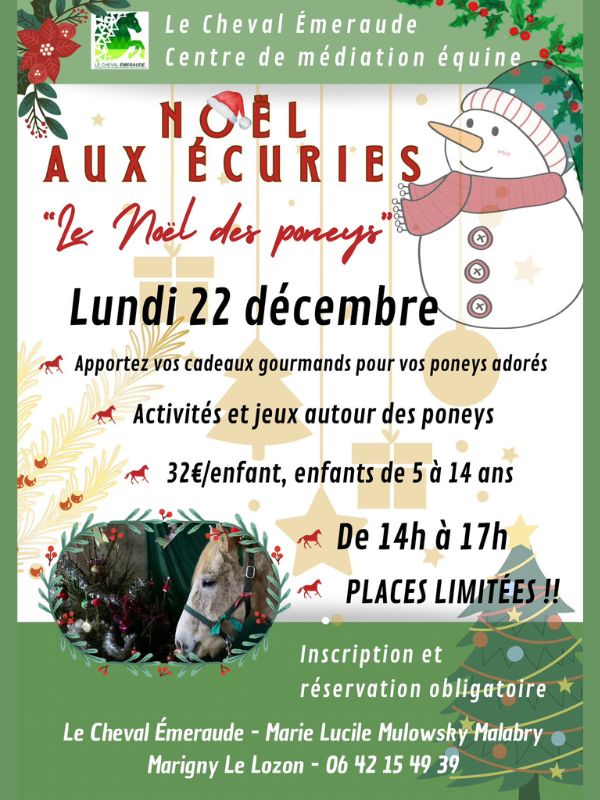 Saint-L&ocirc; : Noël aux écuries > Cheval Emeraude