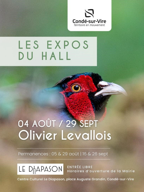 Les expos du Hall | Traces de présence – Olivier Levallois