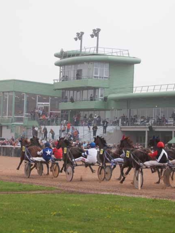 Saint-L&ocirc; : Courses hippiques