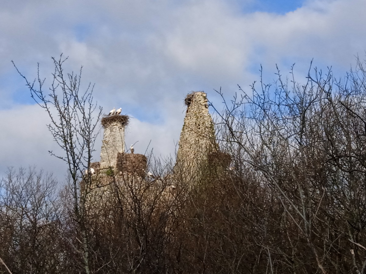 Saint-Lô : Au château des cigognes