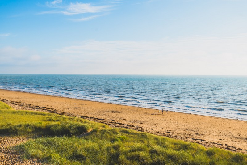 dunes d'Annoville ©Teddy Bear photos -Coutances tourisme